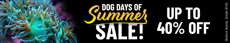 Dog Days of Summer Sale