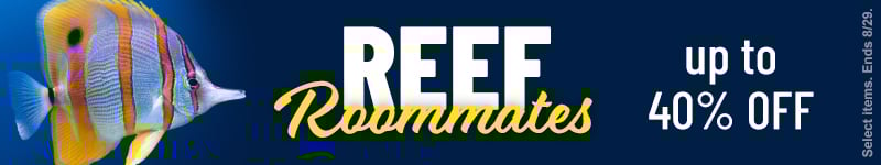 Reef Roommates